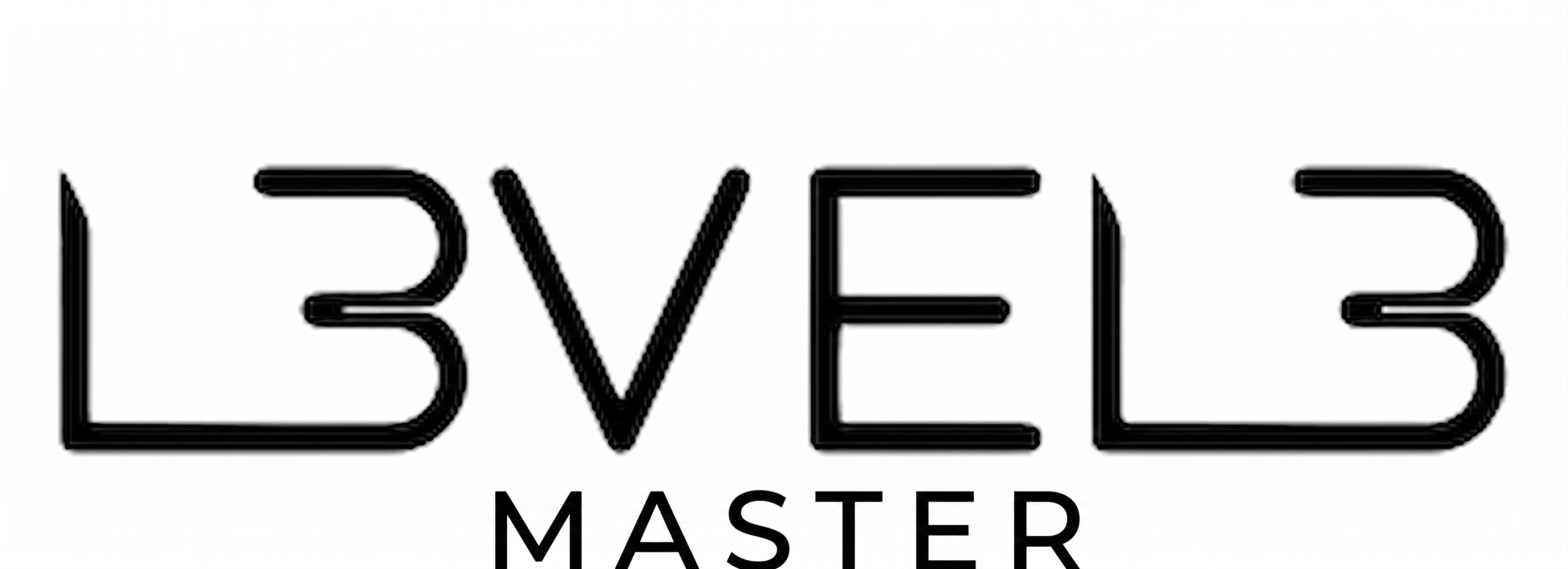 Logo Master LV3 - Acceso al sistema