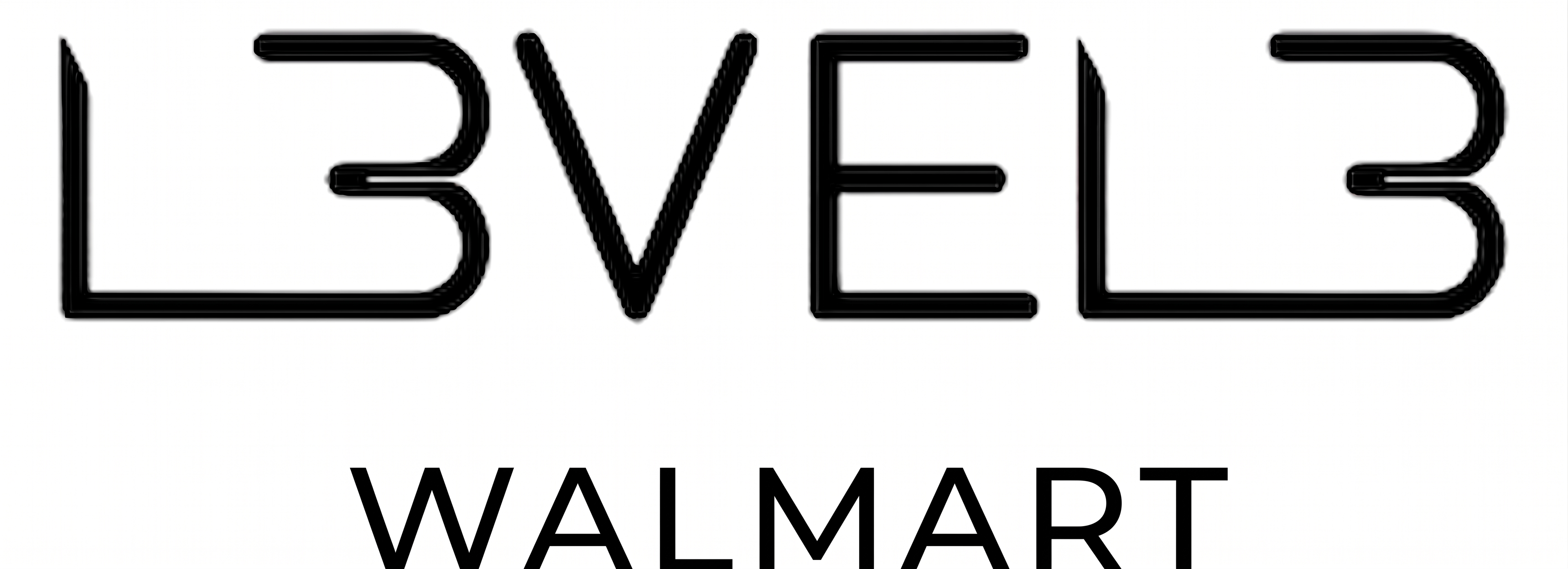 Logo Master LV3 - Acceso al sistema