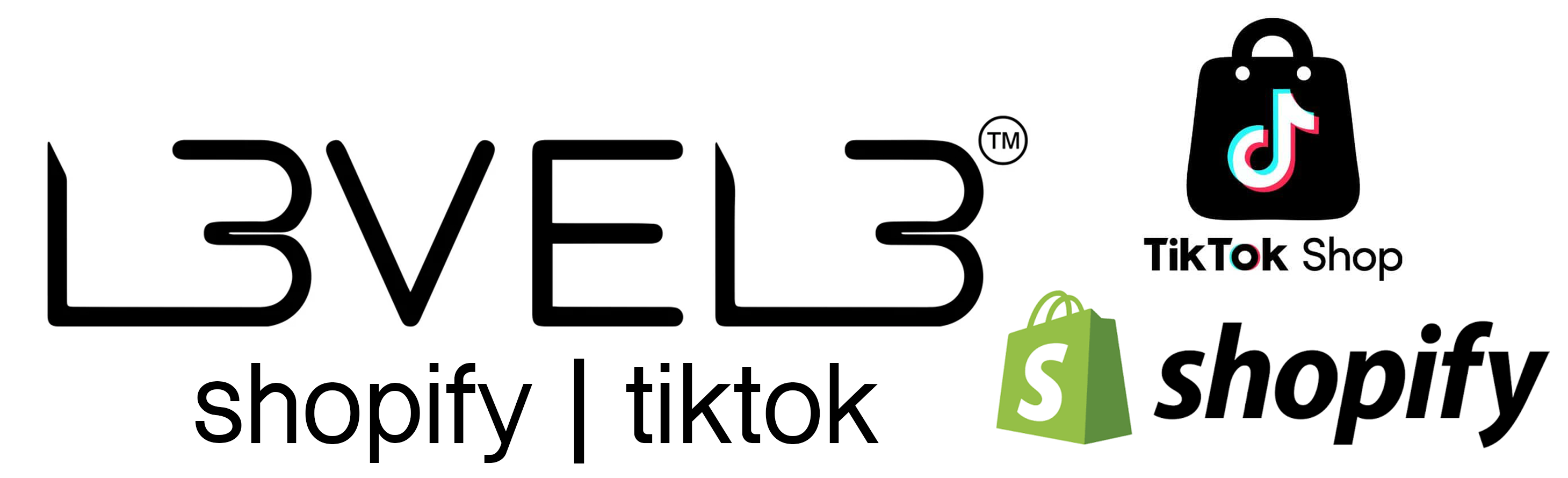 Logo shopify tiktok LV3 - Acceso al sistema