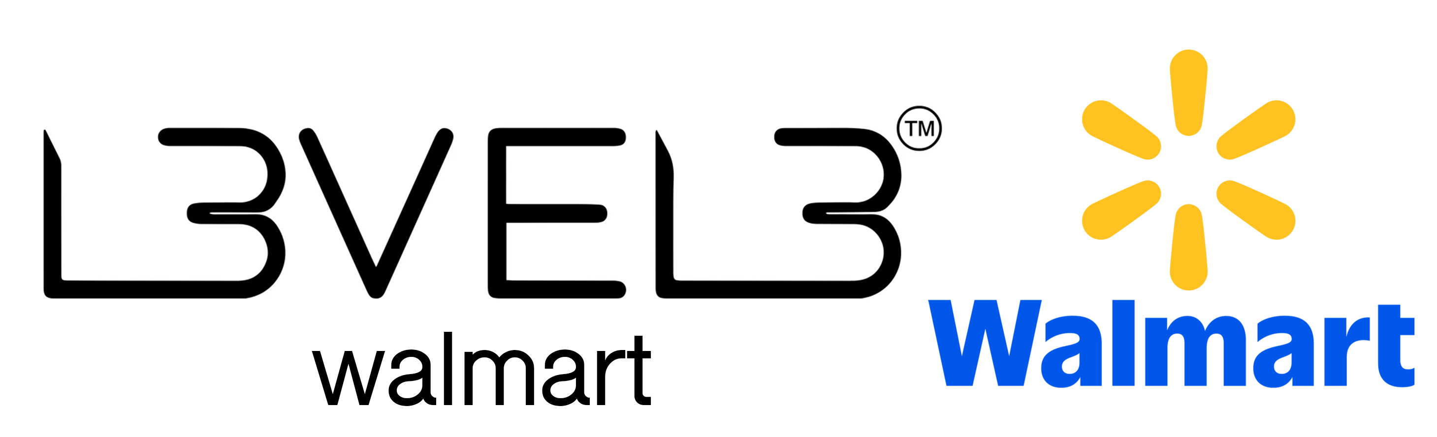 Logo Master LV3 - Acceso al sistema